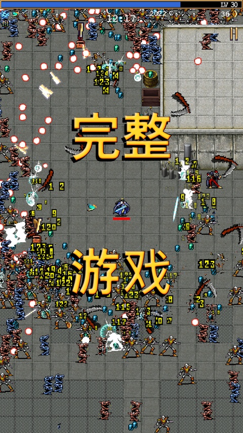 吸血鬼幸存者(来猎杀暗夜的魔物吧!)