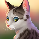 猫咪救援故事（喂养流浪猫并与它们一起玩耍）